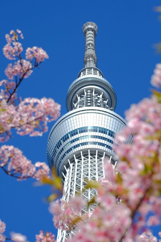 tokyo skytree, cherry blossoms, flower background, sakura, spring, japan, nature, beautiful flowers, flower wallpaper, pink, flowers